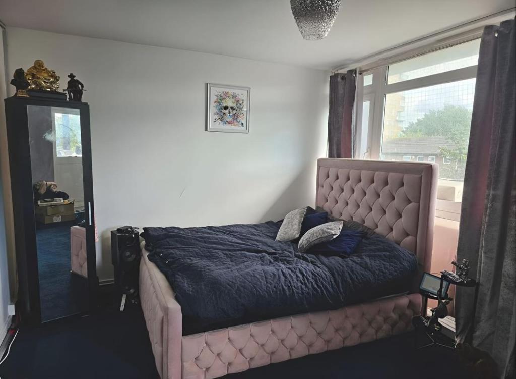 Double Private With Shared Bathroom Facilities Gazde/Camere de închiriat Londra